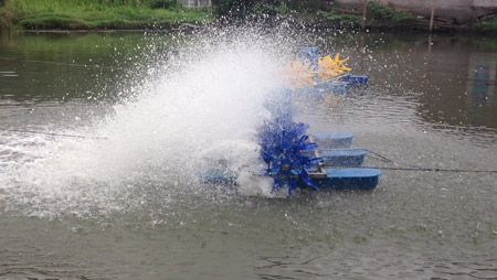 ما الذي يحدد تصميم مهويات بركة الأسماك