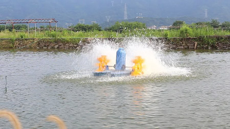 اختيار وتركيب مهوية حوض السمك